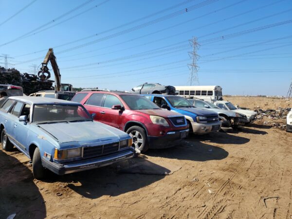 WhatsApp-Image-2024-11-30-at-21.04.16_5c9492d6-scaled