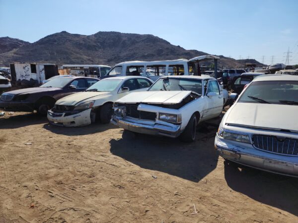 WhatsApp-Image-2024-11-30-at-21.04.21_fa046277-scaled