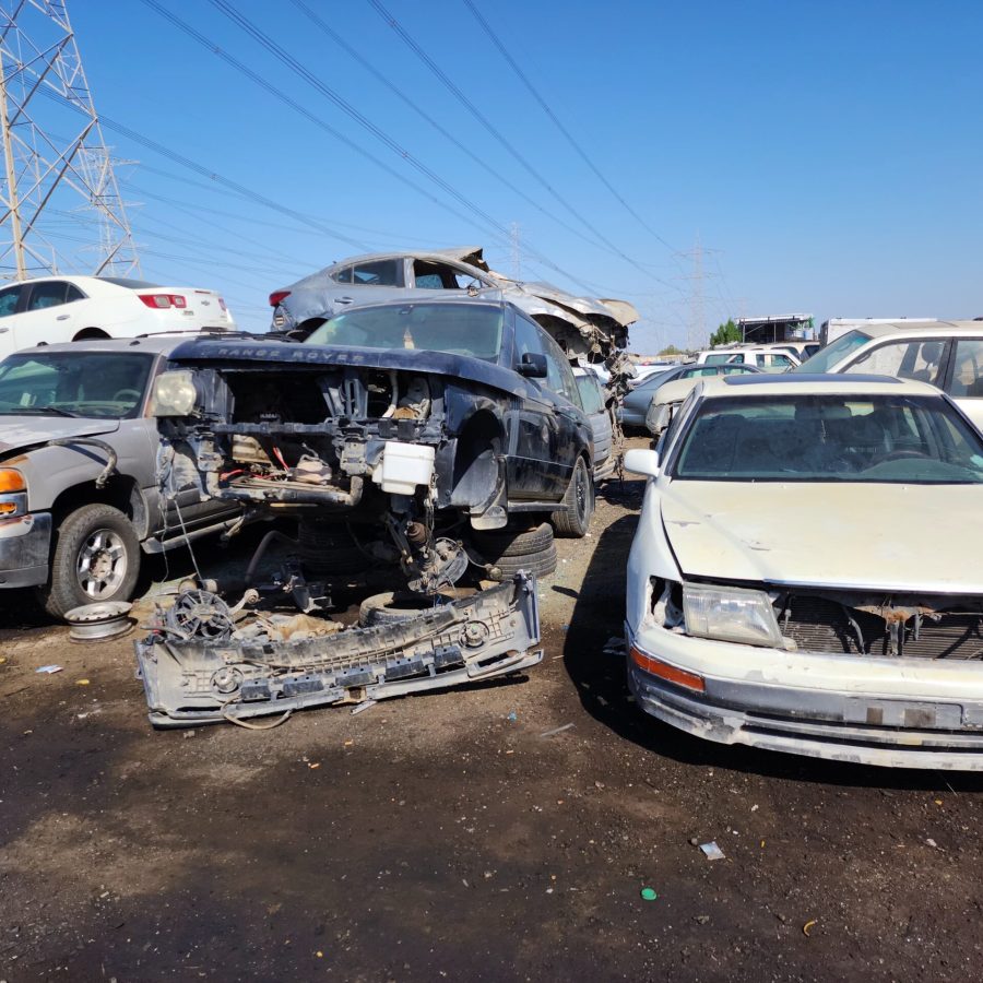 WhatsApp-Image-2024-11-30-at-21.08.50_be24caf3-scaled